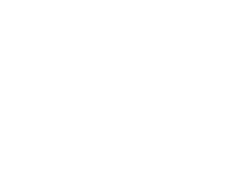 Wit logo Storm Gevel Renovatie