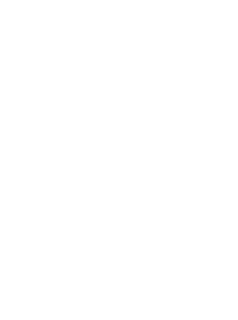 Storm Logo